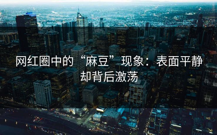网红圈中的“麻豆”现象:表面平静却背后激荡 第1张 网红圈中的“麻豆”现象:表面平静却背后激荡 第1张