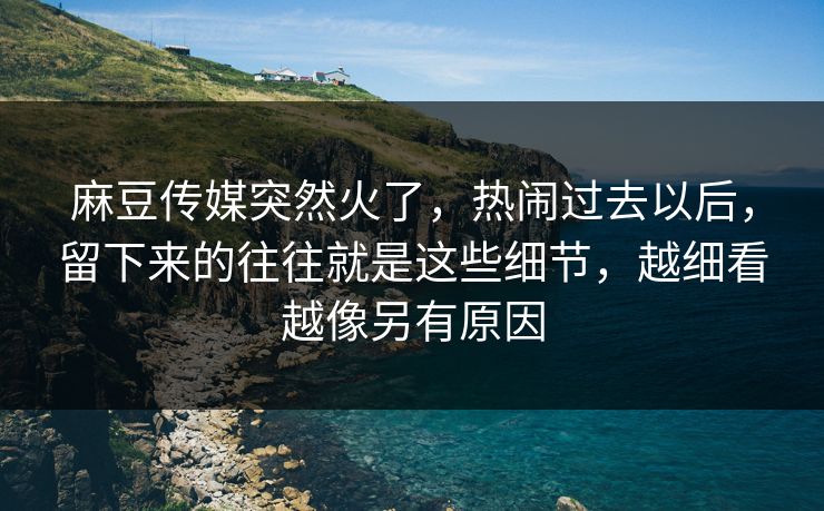 麻豆传媒突然火了，热闹过去以后，留下来的往往就是这些细节，越细看越像另有原因